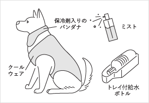 保冷剤入りのバンダナ、クールウェア、ミスト、トレイ付給水ボトル