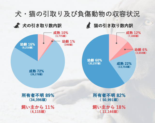 犬・猫の引取り及び負傷動物の収容状況 犬の引き取り数内訳 成熟(飼い主から) 10%(3,775頭)、幼齢(飼い主から) 1%(340頭)、成熟(所有者不明) 72%(28,178頭)、幼齢(所有者不明) 16%(6,218頭)、所有者不明 89%(34,396頭)、飼い主から 11%(4,115頭) 猫の引き取り数内訳 成熟(飼い主から) 12%(7,488頭)、幼齢(飼い主から) 6%(3,658頭)、成熟(所有者不明) 22%(13,754頭)、幼齢(所有者不明) 60%(32,237頭)、所有者不明 82%(50,991頭)、飼い主から 18%(11,146頭)
