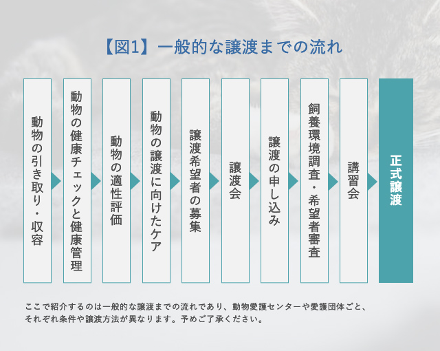 図1一般的な譲渡までの流れ 動物の引き取り・収容→動物の健康チェックと健康管理→動物の適性評価→動物の譲渡に向けたケア・トレーニング→譲渡希望者の募集→譲渡会→譲渡の申し込み→飼養環境調査/希望者審査→講習会→正式譲渡 ここで紹介するのは一般的な譲渡までの流れであり、動物愛護センターや愛護団体ごと、それぞれ条件や譲渡方法が異なります。予めご了承ください。