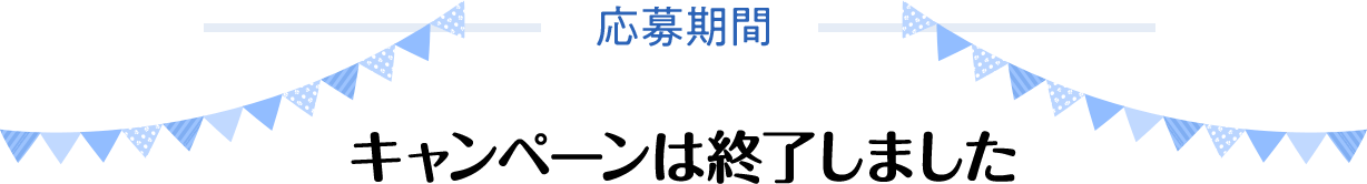 応募期間 キャンペーンは終了しました